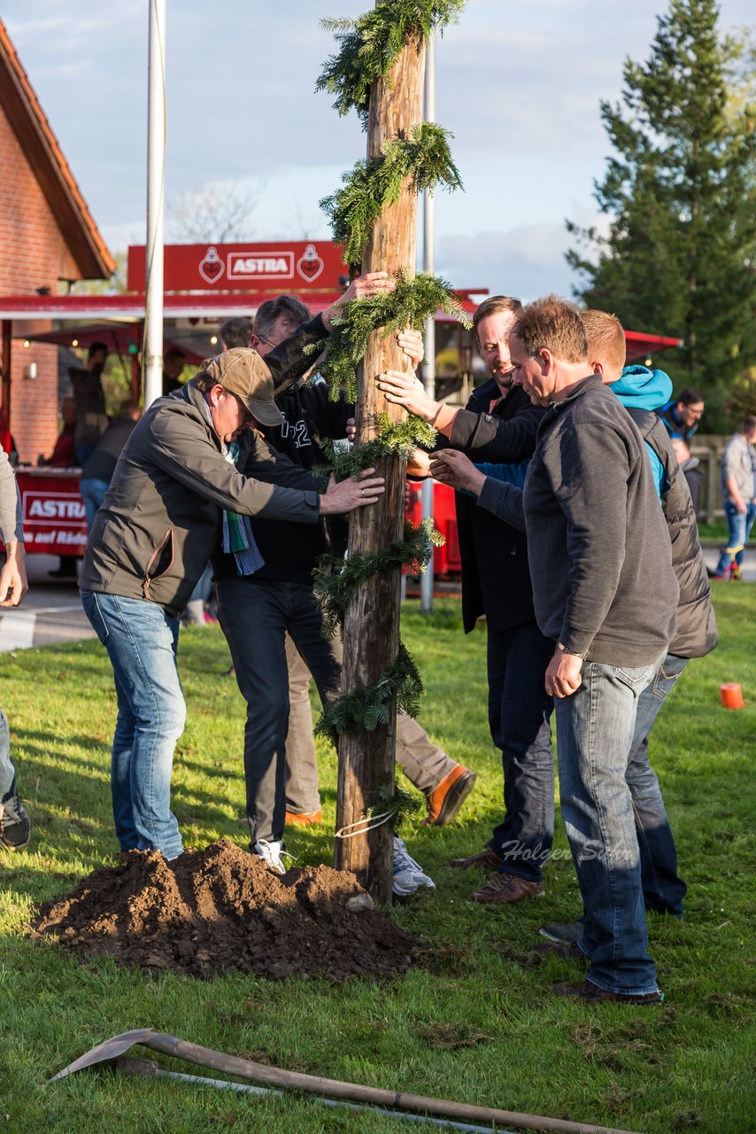 Bild 74 - Maibaum